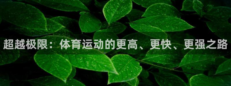 熊猫体育网站