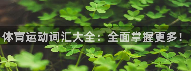 熊猫体育免费下载