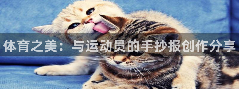 成都金熊猫体育