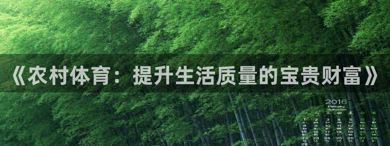 动感熊猫体育公园
