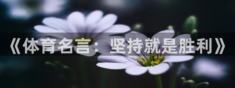 熊猫体育nba