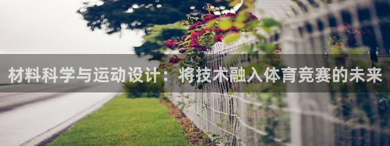 熊猫体育公园价格