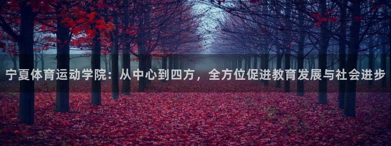 熊猫体育文化有限公司