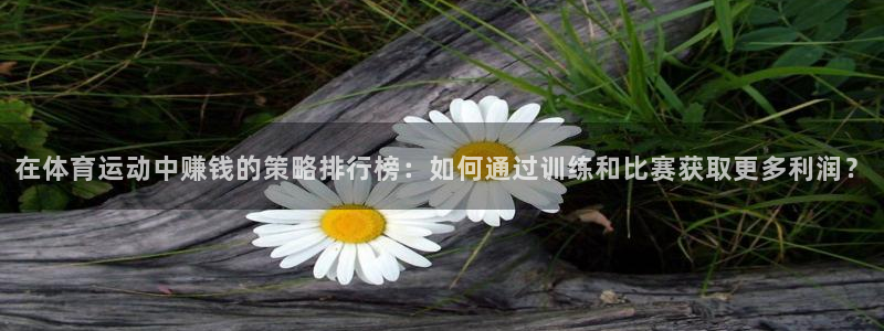 熊猫体育v3.新网页.org