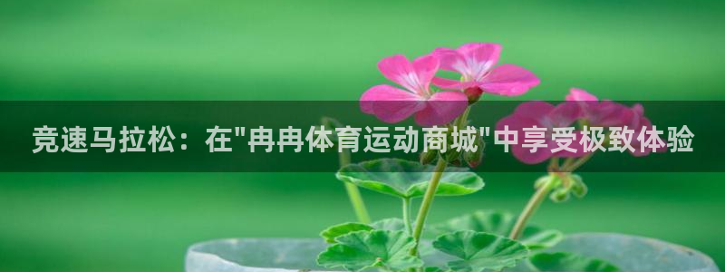 熊猫体育直播