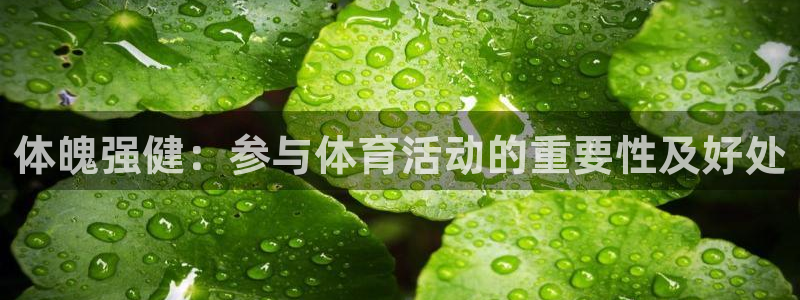 熊猫体育公园