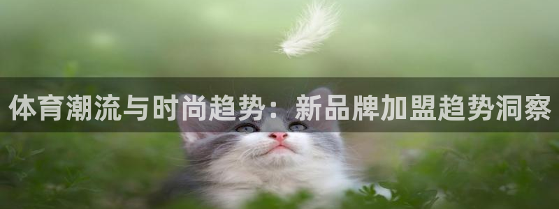 熊猫体育网站