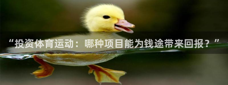 熊猫体育手机版