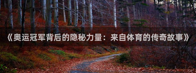 熊猫体育在线观看