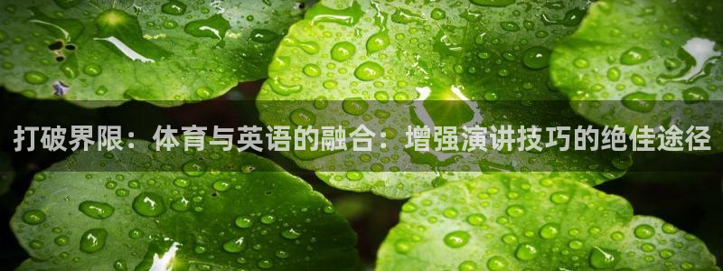 熊猫体育app下载安装