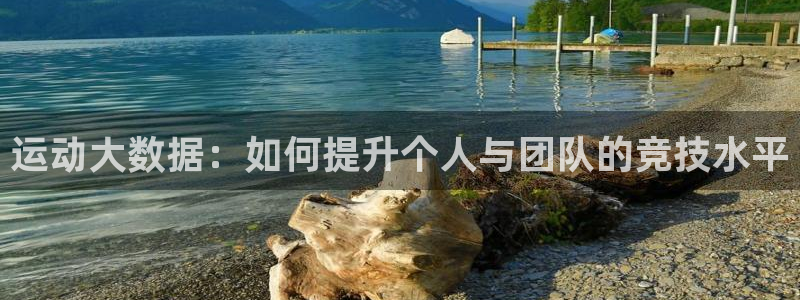 熊猫体育公园