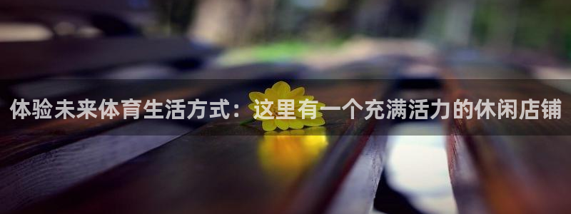 熊猫体育公园价格