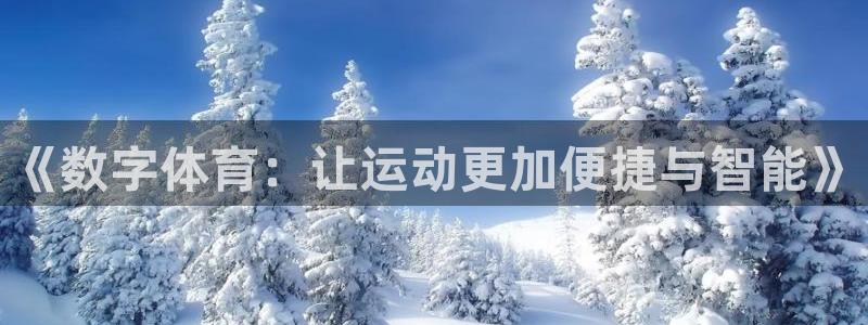 熊猫体育